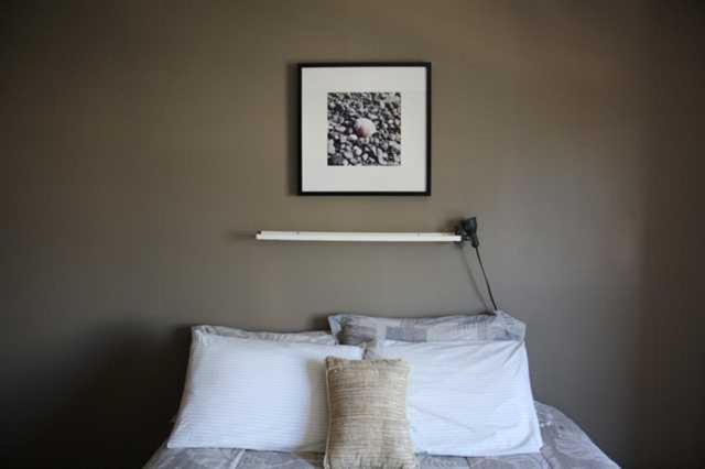 Painted Turtle Guesthouse Ναναΐμο Εξωτερικό φωτογραφία