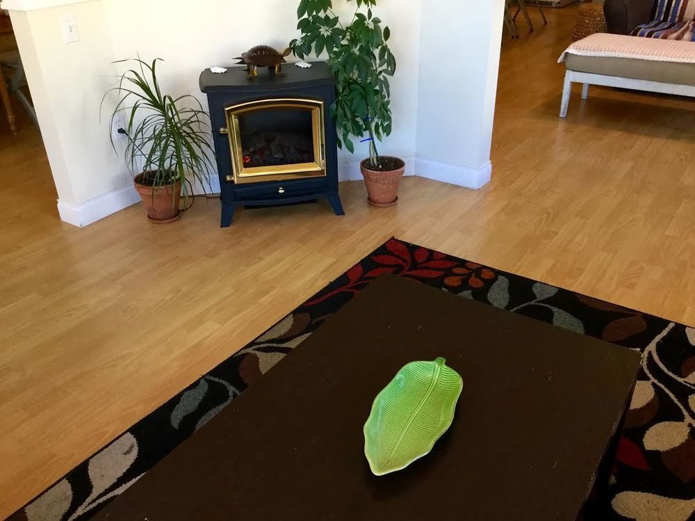 Painted Turtle Guesthouse Ναναΐμο Εξωτερικό φωτογραφία